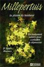 Millepertuis, la plante du bonheur. Steven Bratman (dr)